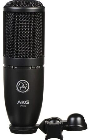 AKG P120