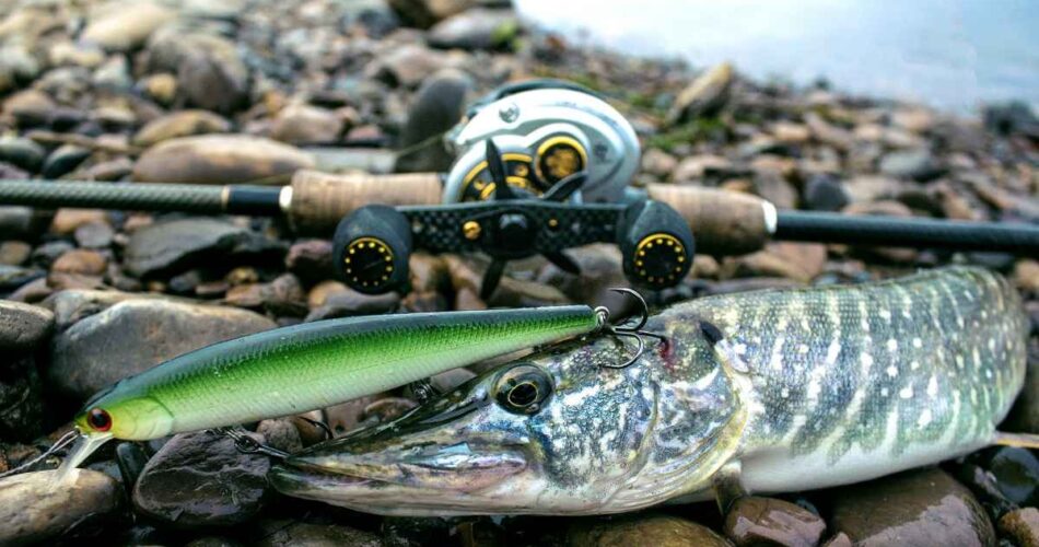 Best Fishing Stores on AliExpress